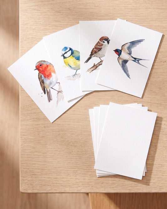 Tintlet Birds Postcard Pack: painted robin, blue tit, sparrow and swallow postcards next to blank postcards