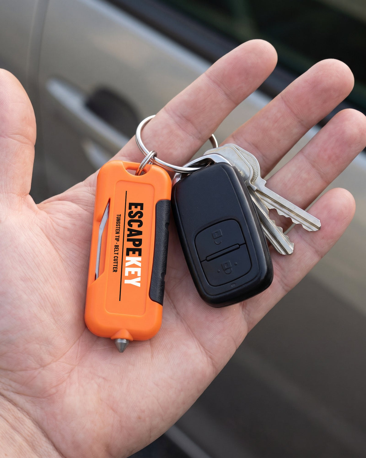 EscapeKey on a key ring with car keys